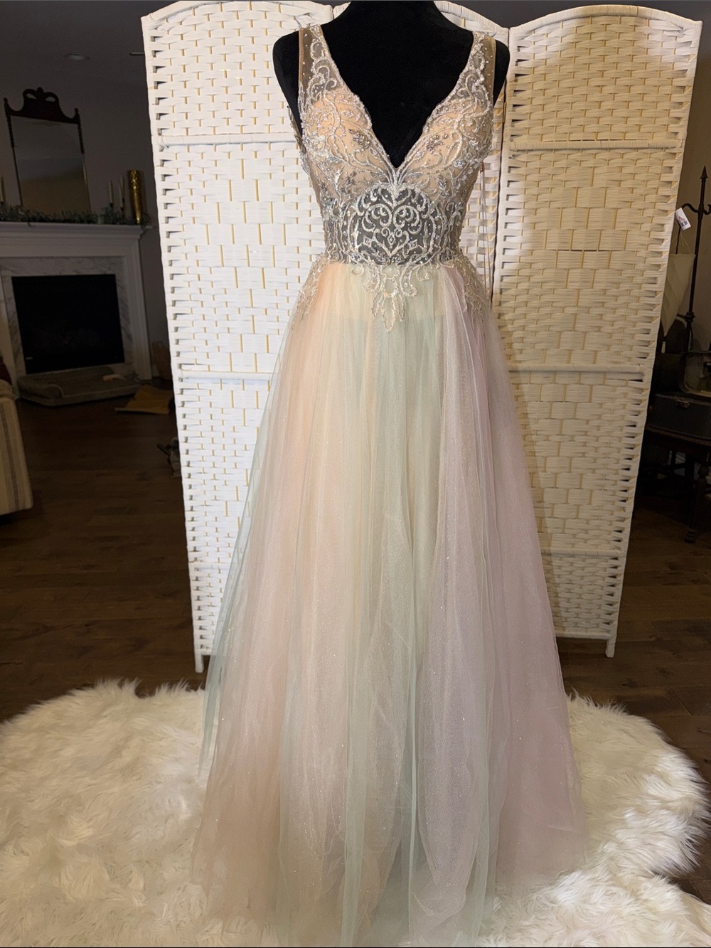 Terani Couture Pastel Ombre Tulle Prom Gown with Beaded Bodice